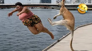 Thumbnail: TRY NOT TO LUAGH 🤣 Top Funny Videos On The Internet | Hilarious Fails pt 3