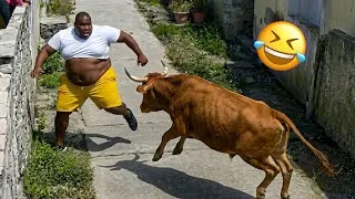 Thumbnail: TRY NOT TO LAUGH 🤣 Top Funny Videos On The Internet | Hilarious Fails 🤯