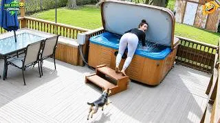 Thumbnail: Try Not To Laugh 😂 Top 100 Funniest Fails Ever | Funny Videos Compilation 2026 #63