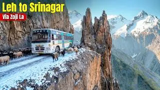 Thumbnail: LEH TO SRINAGAR via Kargil & Zojila Pass | JKRTC Bus | Himbus