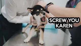 Thumbnail: Shiba Inu Puppy First Vet Visit