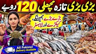 Thumbnail: Big Fresh Fish for Only 120 Rupees 😱| Huge Prawns,Crabs & Lobsters | Karachi Fisheries @Hirakaysath 