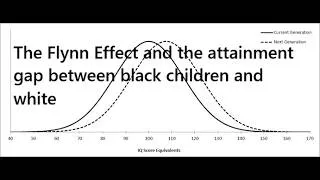 Thumbnail: The Flynn Effect and the educational attainment gap between black children and white