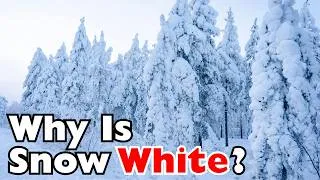 Thumbnail: Why Is Snow White If Ice Is Clear?