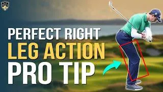 Thumbnail: Right Leg In Golf Swing ➜ Pro Golf Swing Secret
