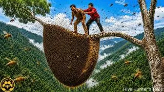 Thumbnail: Extreme Wild Honey Hunting | Harvesting Giant Wild Honey from a 100 Meter Tall Tree