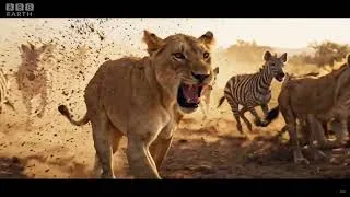 Thumbnail: Africa's Deadliest Hunters | FULL EPISODE | Ultimate Nature Animal Documentary