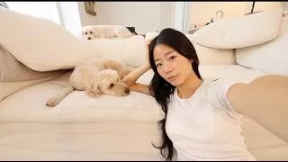 Thumbnail: Got so sick that I missed my flight to Korea | Evelyn Ha