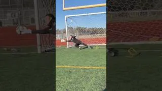 Thumbnail: Plyometrics and shot stopping in goal!  #goalkeeper #goalkeepers #gktraining #soccer #soccershorts