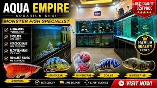Thumbnail: Aqua Empire Aquarium Shop Gurugram Monster & Exotic Fishes Available At Best Prices #hmhobbyist