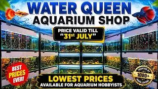 Thumbnail: Cheapest Aquarium Shop? 😱 Water Queen Aquarium Shop Tour | Lowest Fish Prices Till 31st July