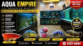 Thumbnail: Monster Fish Heaven in Gurugram Aqua Empire Aquarium Shop Tour | Arowana Peacock Bass & Flowerhorn