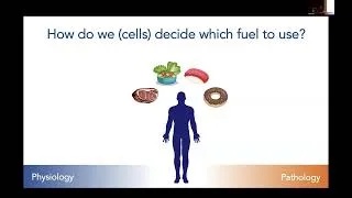 Thumbnail: 2026 Harvard Chinese Life Science Annual Symposium Part III Metabolism & Human Diseases