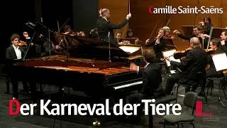Thumbnail: Camille Saint-Saëns: Der Karneval der Tiere
