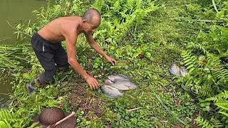 Thumbnail: An 80-year-old grandfather caught many massive fish using only a rudimentary fishing rod.