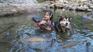 Thumbnail: Binh Drained an Entire Stream for a Massive Catch of Fish