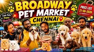 Thumbnail: 🔥 Sunday Pet Market Chennai 2026 | Persian Cats ₹6000, Shitzu, Labrador, Hamsters & More #petmarket