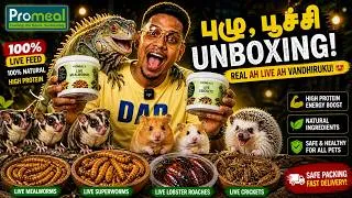 Thumbnail: Promeal புழு, பூச்சி Unboxing 😳 | Live & Dry Mealworms, Crickets, Roaches #promeal #pets