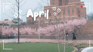 Thumbnail: disorganized april vlog