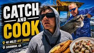 Thumbnail: 40 Miles Offshore CATCH & COOK | AJ Ceviche and Fried B-Liner | Savannah GA