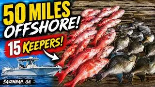 Thumbnail: Savannah Offshore Fishing Was ON FIRE! 20+ Fish in One Trip at the Live Bottom