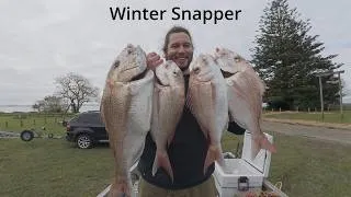 Thumbnail: Fishing the Largest Harbour in the Southern Hemisphere - Snapper for Days