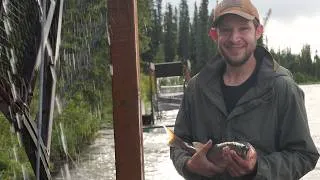 Thumbnail: Launching a Community Fish Wheel on The Copper River