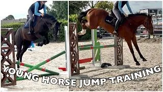 Thumbnail: BIG DAY OUT FOR THE YOUNG HORSES