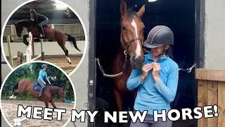 Thumbnail: SOMEHOW I'VE NEVER BOUGHT A HORSE BEFORE THIS?
