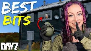 Thumbnail: HollyRex's BEST DayZ Highlights! No.15 #dayz #HollyRex