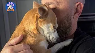Thumbnail: This Man Lost His Dog of 17 Years…Then the Neighbor’s Dog Found Him