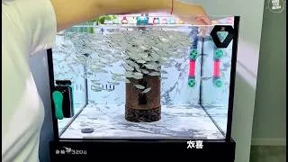 Thumbnail: Fish Feeding Frenzy 🐟 Hundreds of Aquarium Fish Eating Together