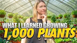 Thumbnail: I Grew 1,000 Veggies and Ranked the 5 Best