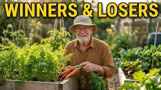 Thumbnail: End of Summer  Raised Bed Update. Some winners some losers and a little bit of soil maintenance.