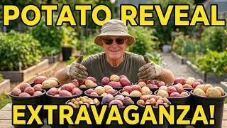 Thumbnail: Big end of Summer bucket & bag potato roundup, save the best till last. Potato Reveal Extravaganza.