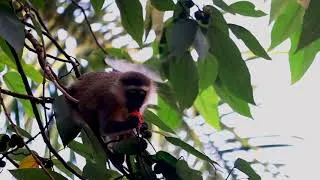 Thumbnail: Adventure Tourism Uganda | Off-the-beaten track experiences