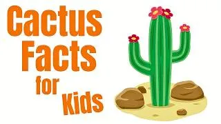 Thumbnail: Cactus Facts for Kids | Learn About Cacti