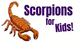 Thumbnail: Scorpions for Kids | Scorpion Facts and Anatomy