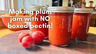Thumbnail: Making jam with just TWO ingredients