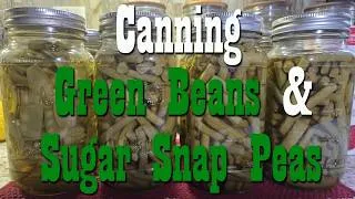 Thumbnail: Canning Green Beans & Sugar Snap Peas