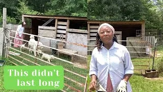 Thumbnail: It's A Beautiful Morning ~ Chores Have To Be Done!