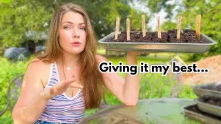 Thumbnail: Seed starting my FALL Vegetable GARDEN! *Florida Zone 9* #vegetablegarden #seedstarting