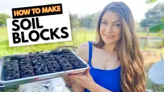 Thumbnail: SOIL BLOCKING 101 - Learn HOW to soil block for beginners! + My recipe! #seedstarting #gardening
