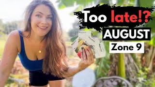 Thumbnail: START your FALL garden NOW! *ZONE 9* What seeds to start in August! #floridagarden #vegetablegarden 