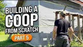 Thumbnail: DIY Chicken Coop Building: Our Homestead Journey