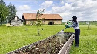 Thumbnail: My Quiet Countryside Routine: Gardening & Homemade Sushi