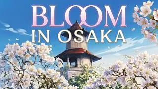 Thumbnail: BLOOM IN ＯＳＡＫＡ (Lofi Hip Hop) 🌼
