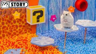 Thumbnail: Hamster Mario Maze: Ice & Lava Galaxy 🐹 Homura Ham