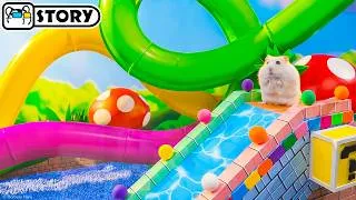 Thumbnail: Hamster Mario Ball Pool Maze 🐹 Homura Ham Pets
