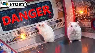 Thumbnail: Hamster Escapes from the Starship Prison Maze 🐹 Homura Ham Pets